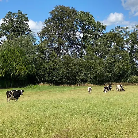 Prázdninový dům Petite Maison Dans La Prairie