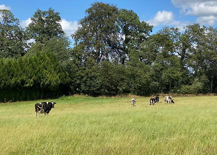 Prázdninový dům Petite Maison Dans La Prairie